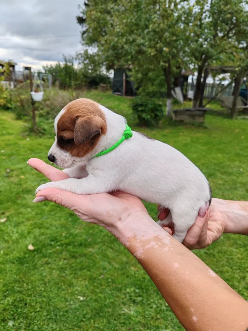 carousel-image-mobile-2