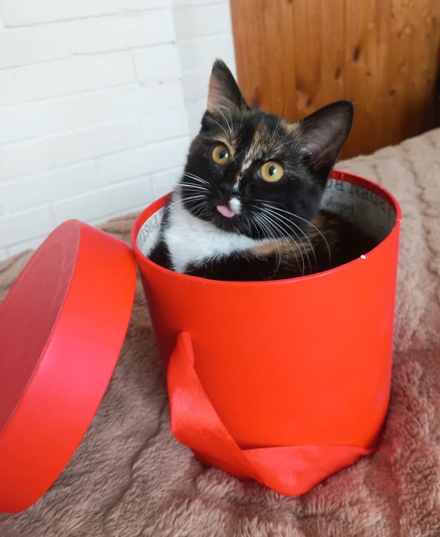 carousel-image-mobile-0