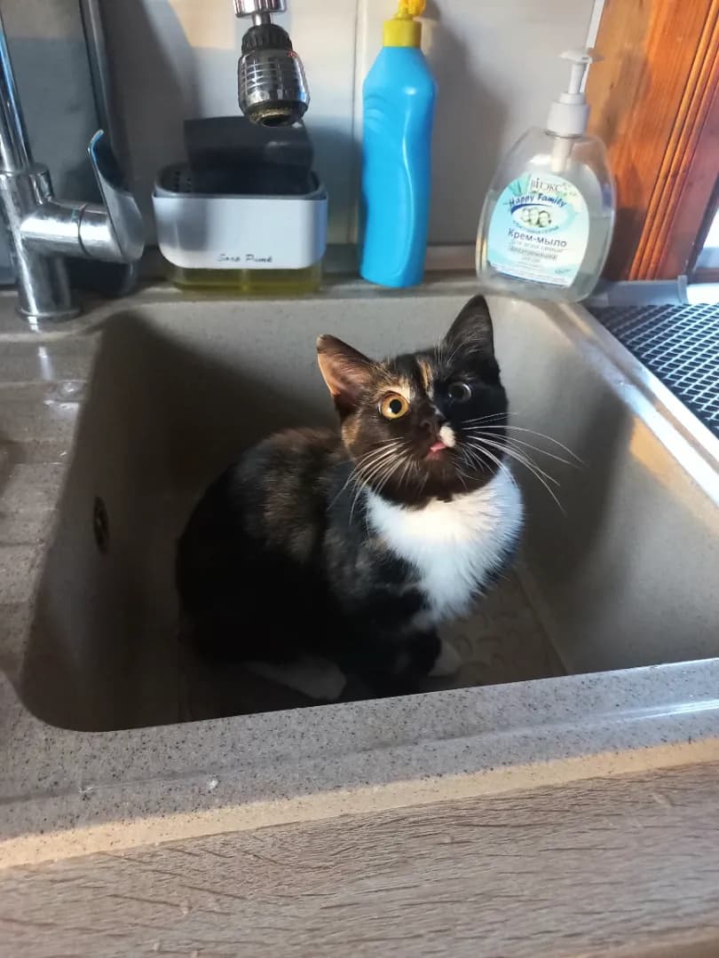 carousel-image-mobile-1