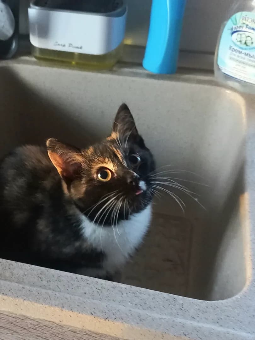 carousel-image-mobile-2