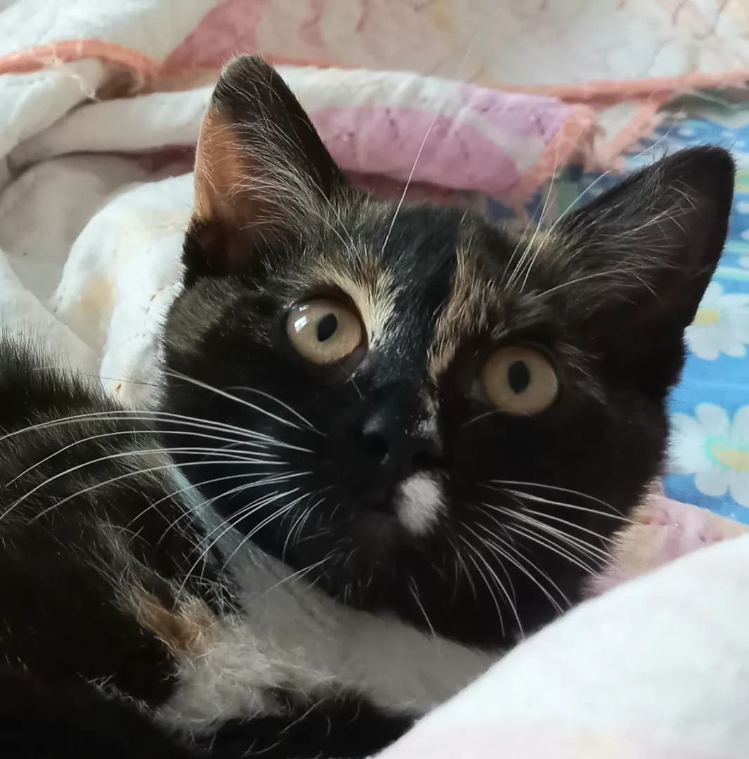 carousel-image-mobile-4