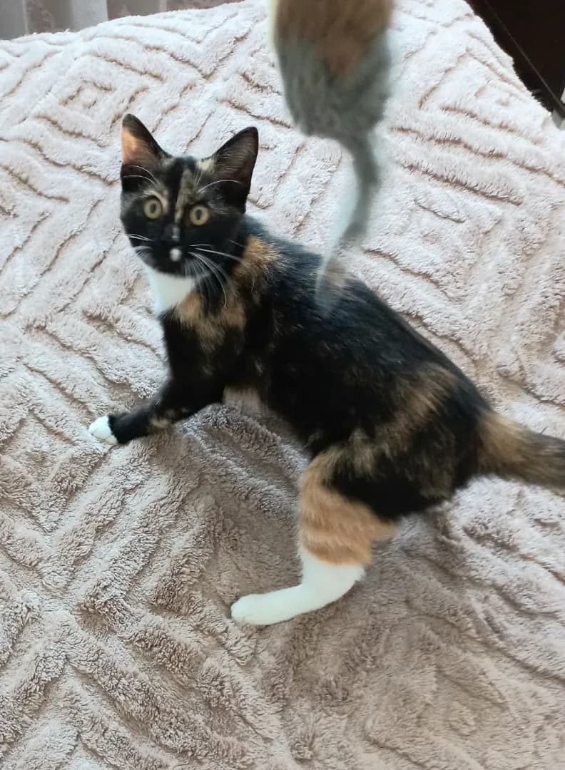 carousel-image-mobile-5