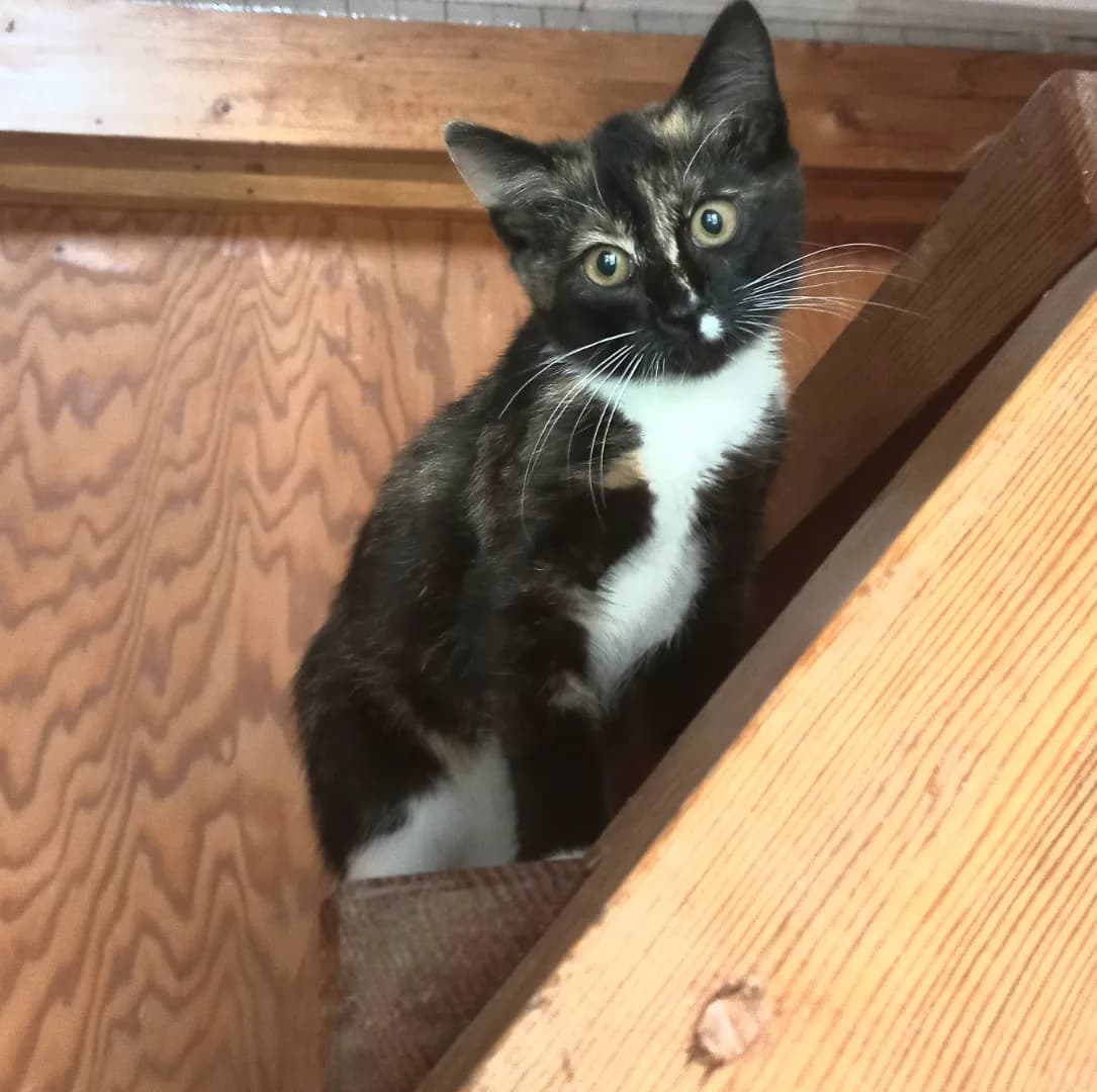 carousel-image-mobile-6