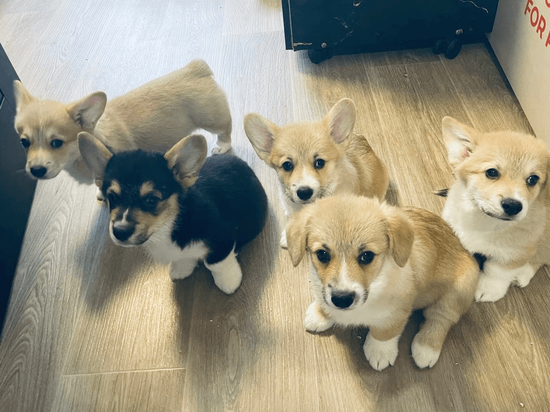 carousel-image-mobile-0