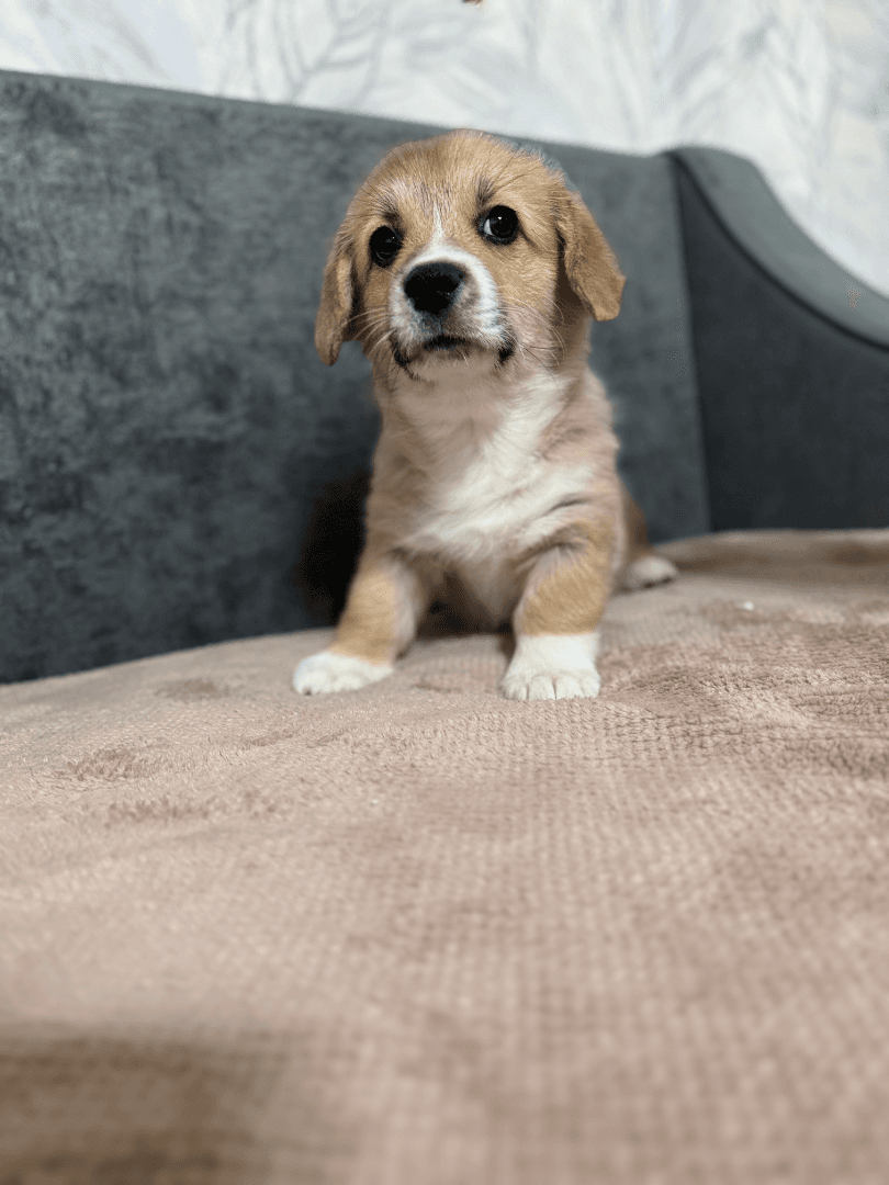 carousel-image-mobile-1