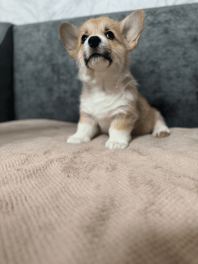 carousel-image-mobile-6