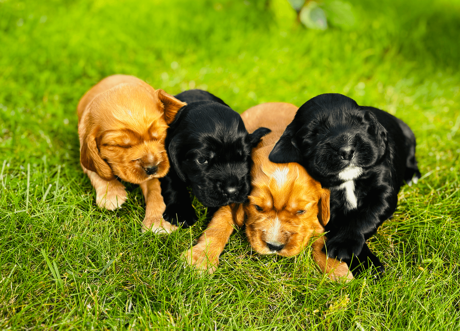 carousel-image-mobile-0