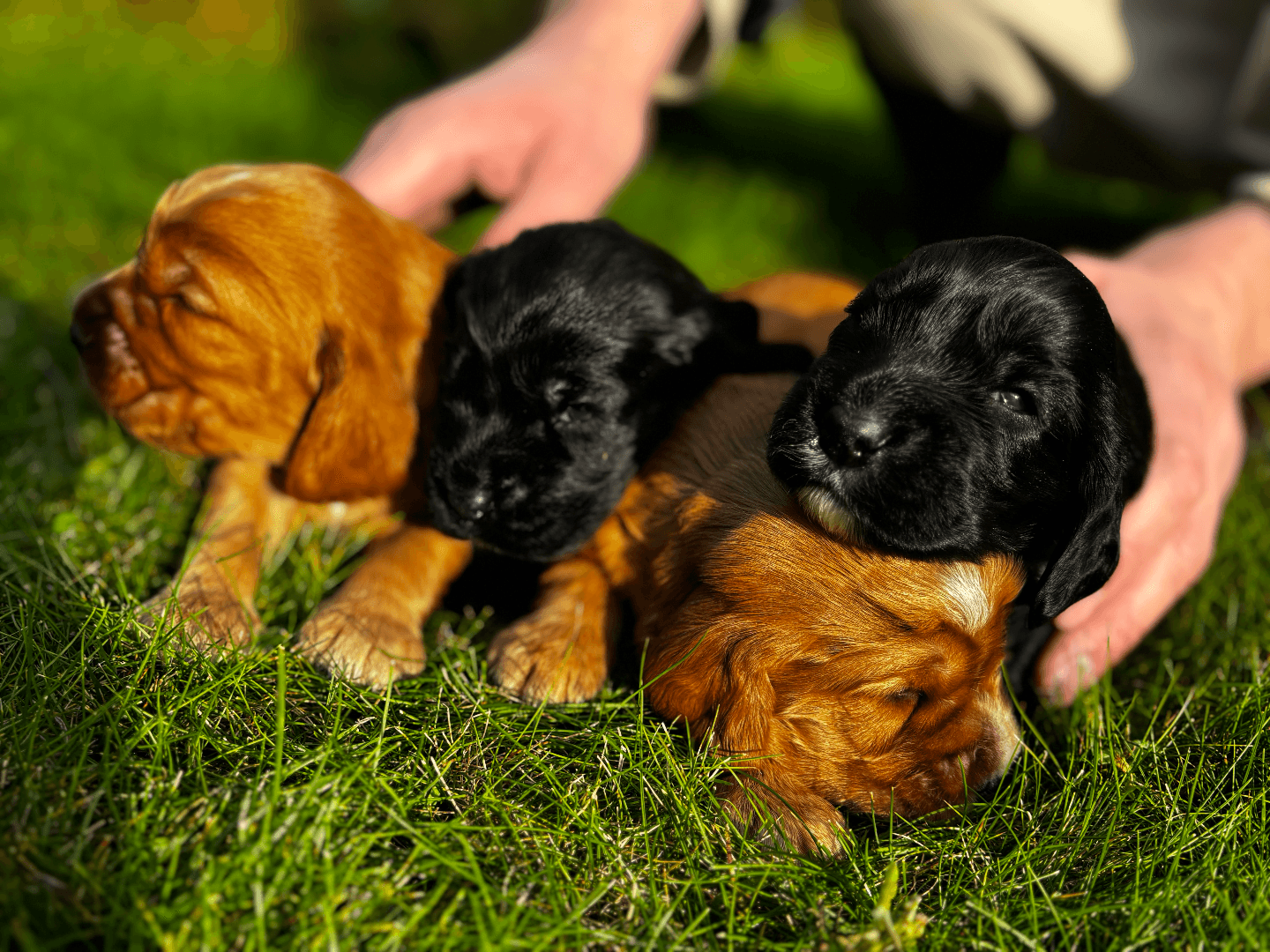 carousel-image-mobile-1