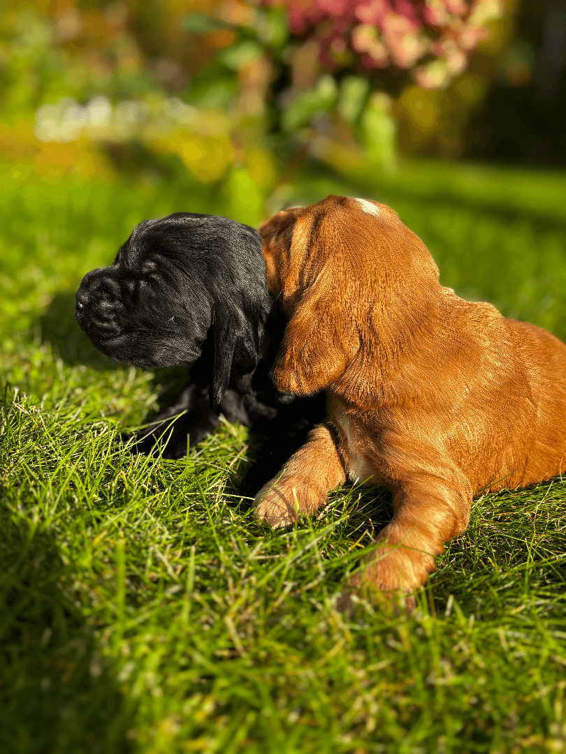 carousel-image-mobile-3