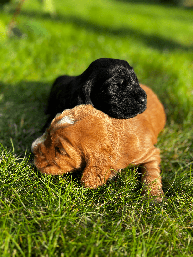 carousel-image-mobile-4