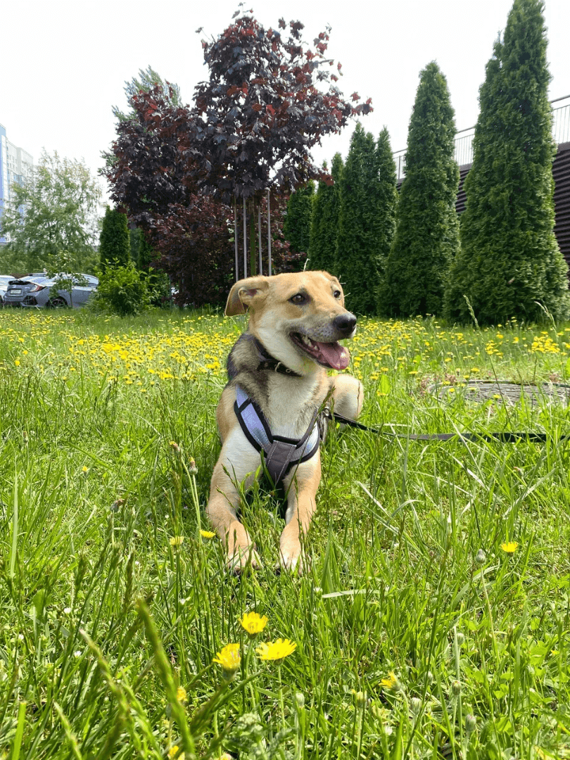 carousel-image-mobile-0