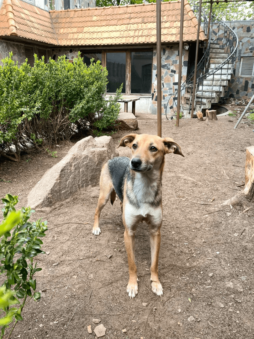 carousel-image-mobile-1