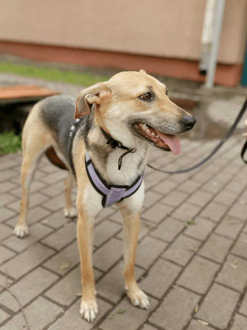 carousel-image-mobile-2