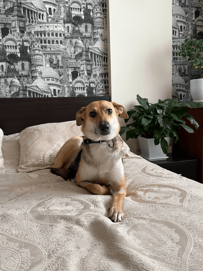 carousel-image-mobile-3