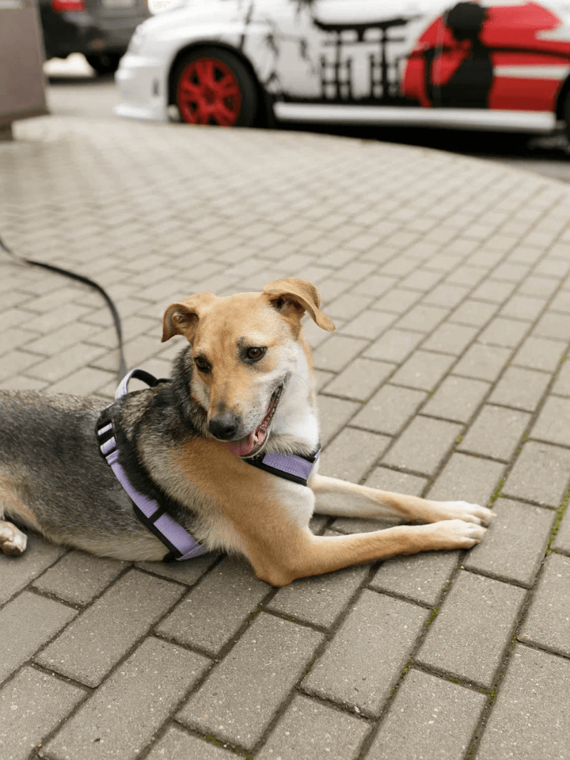 carousel-image-mobile-5