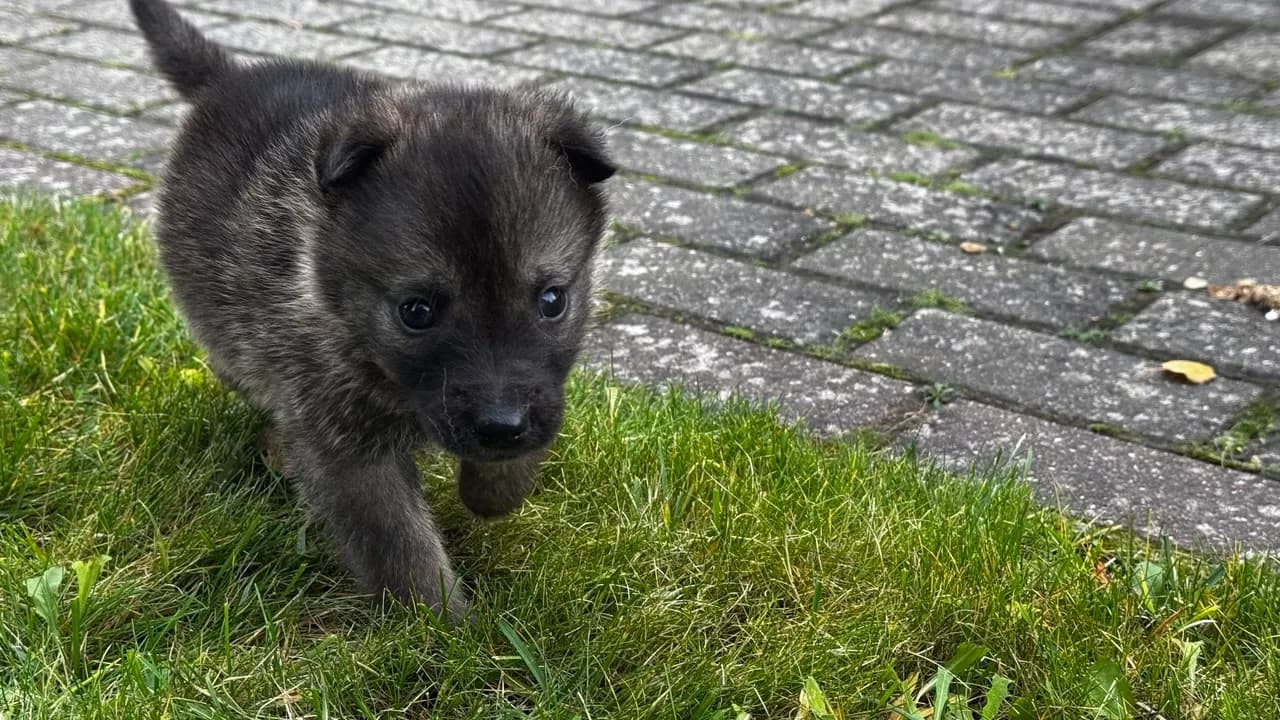 carousel-image-mobile-0