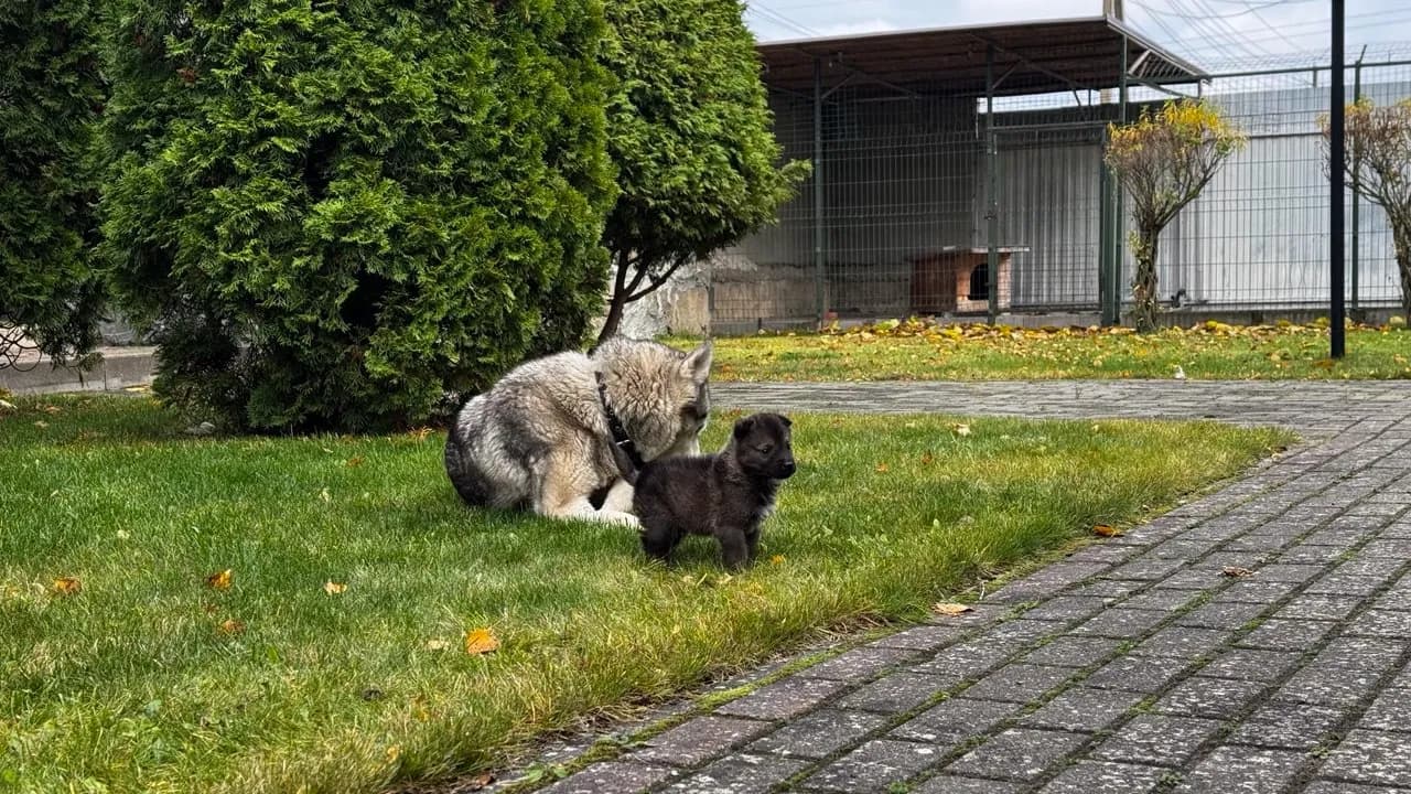 carousel-image-mobile-1