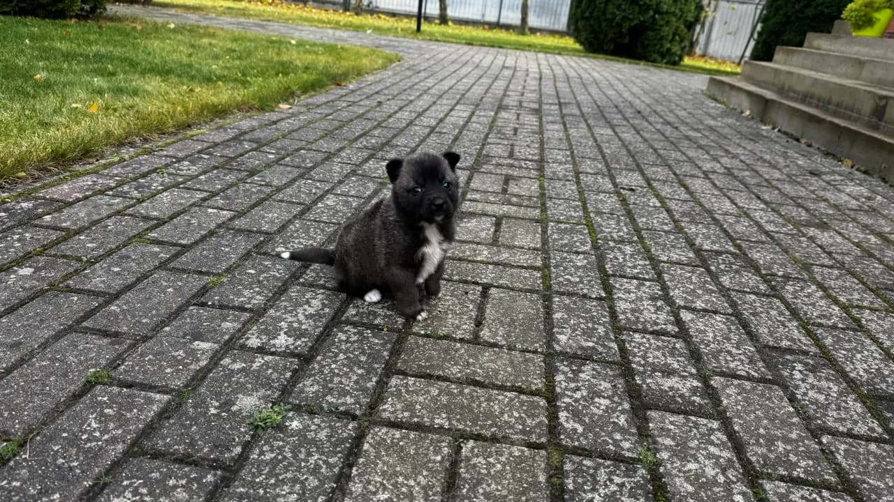 carousel-image-mobile-2