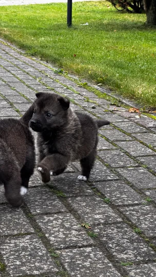 carousel-image-mobile-3