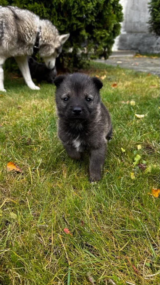 carousel-image-mobile-4