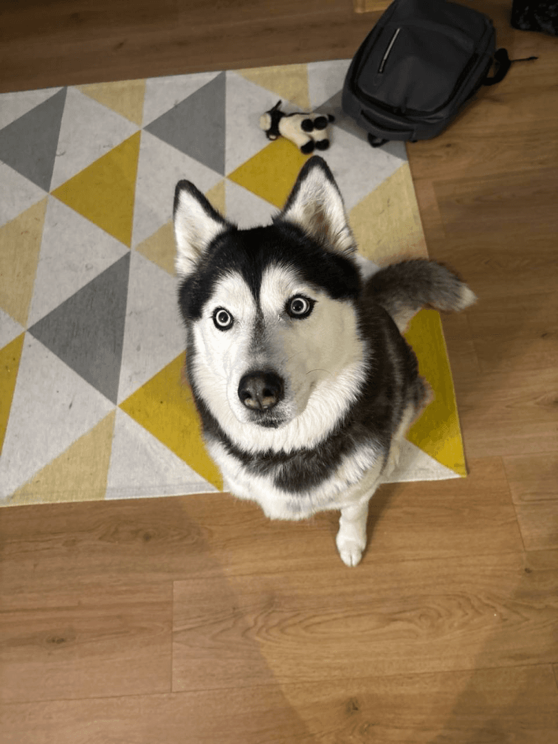 carousel-image-mobile-0