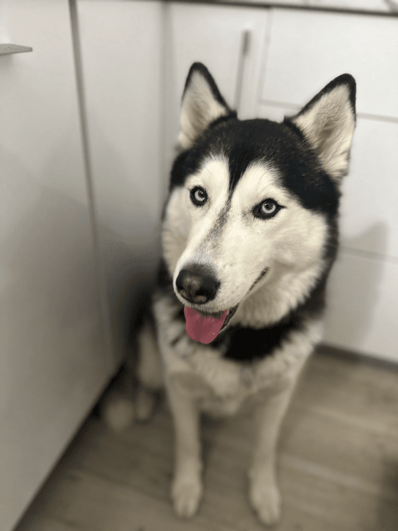 carousel-image-mobile-1