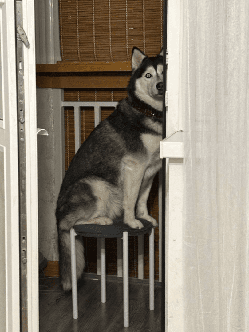 carousel-image-mobile-2