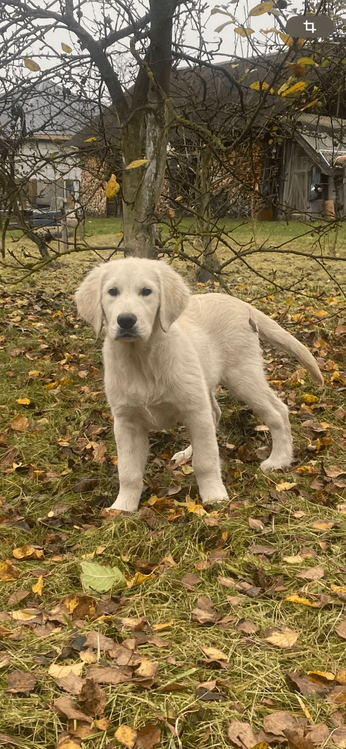 carousel-image-mobile-1