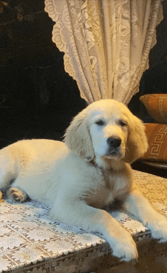 carousel-image-mobile-0