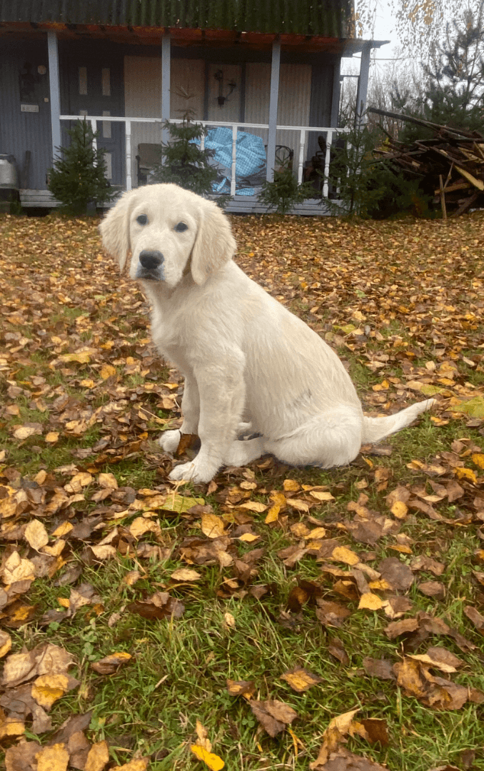 carousel-image-mobile-2