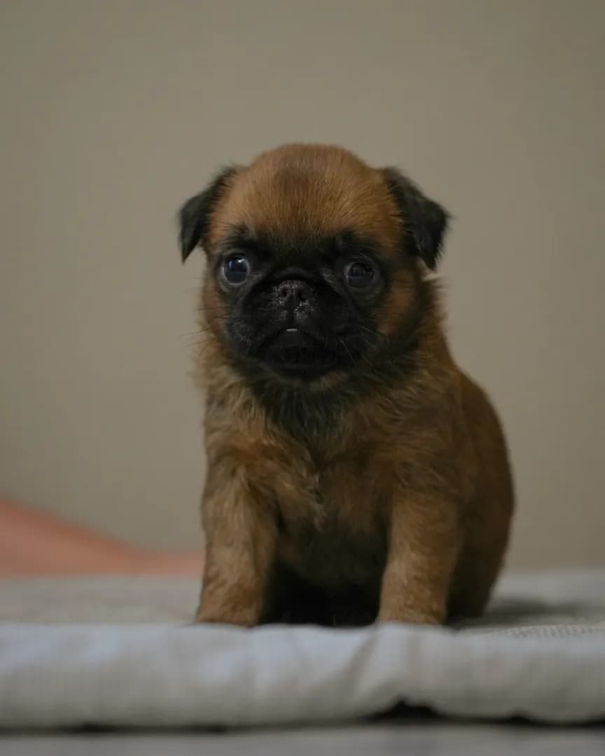 carousel-image-mobile-1