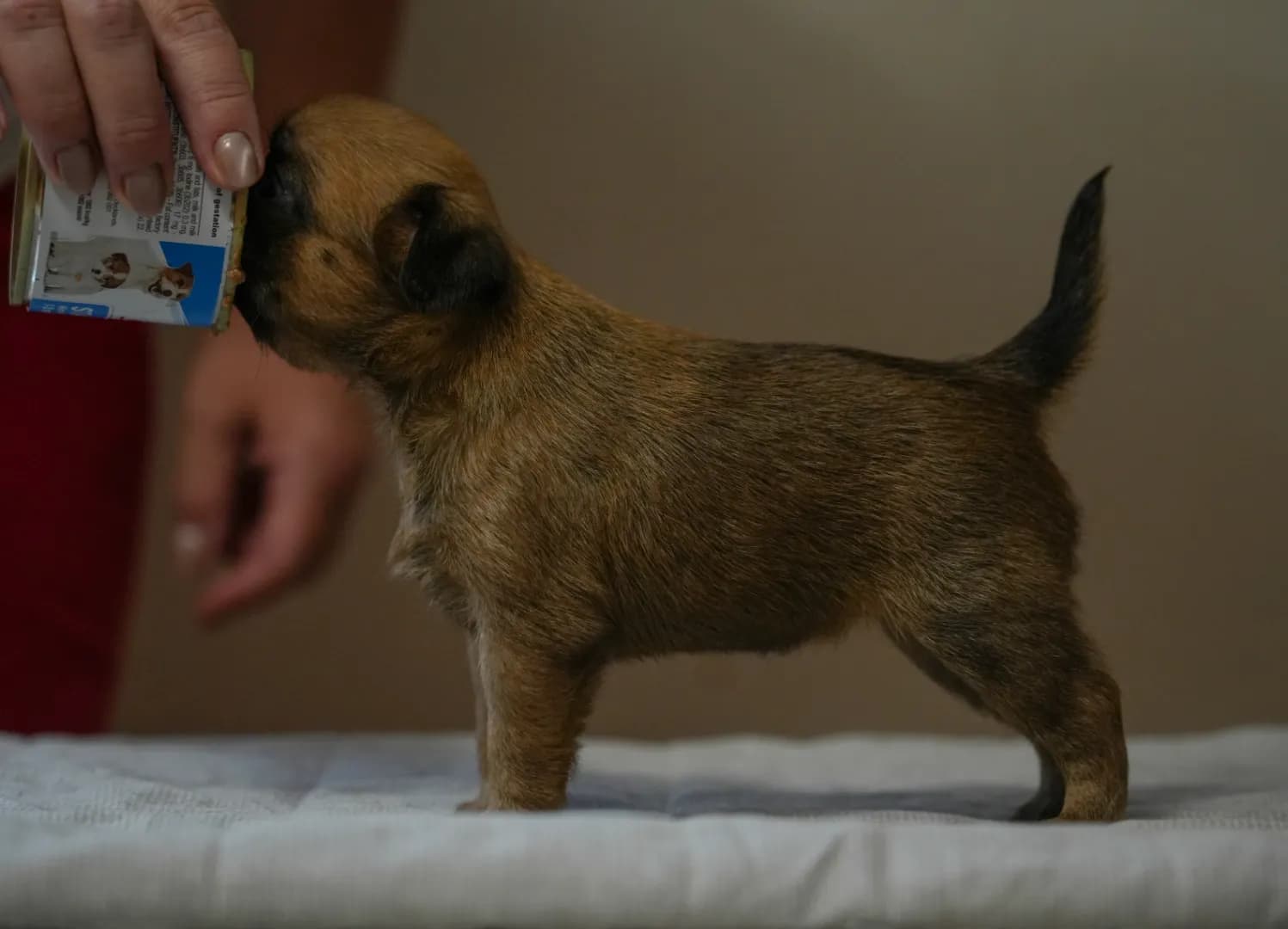 carousel-image-mobile-2