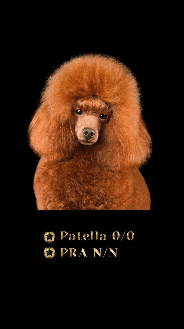 carousel-image-mobile-0