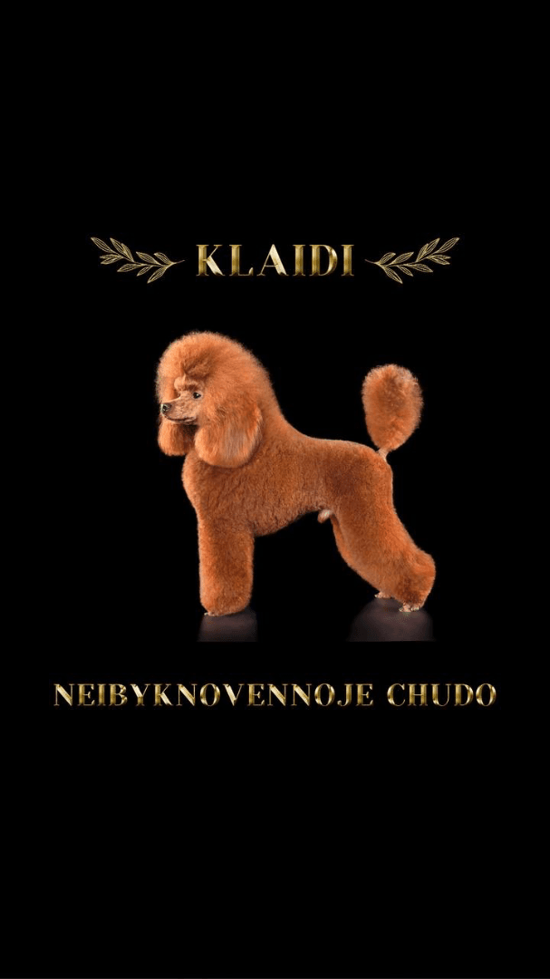 carousel-image-mobile-1