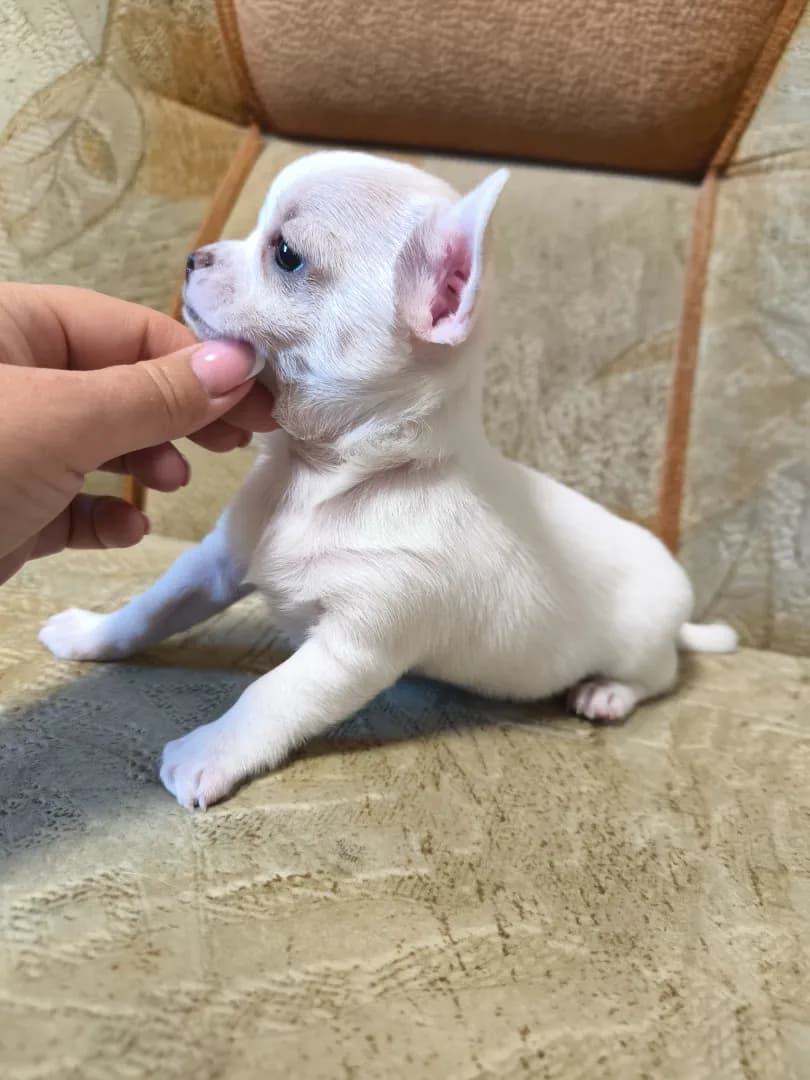 carousel-image-mobile-0