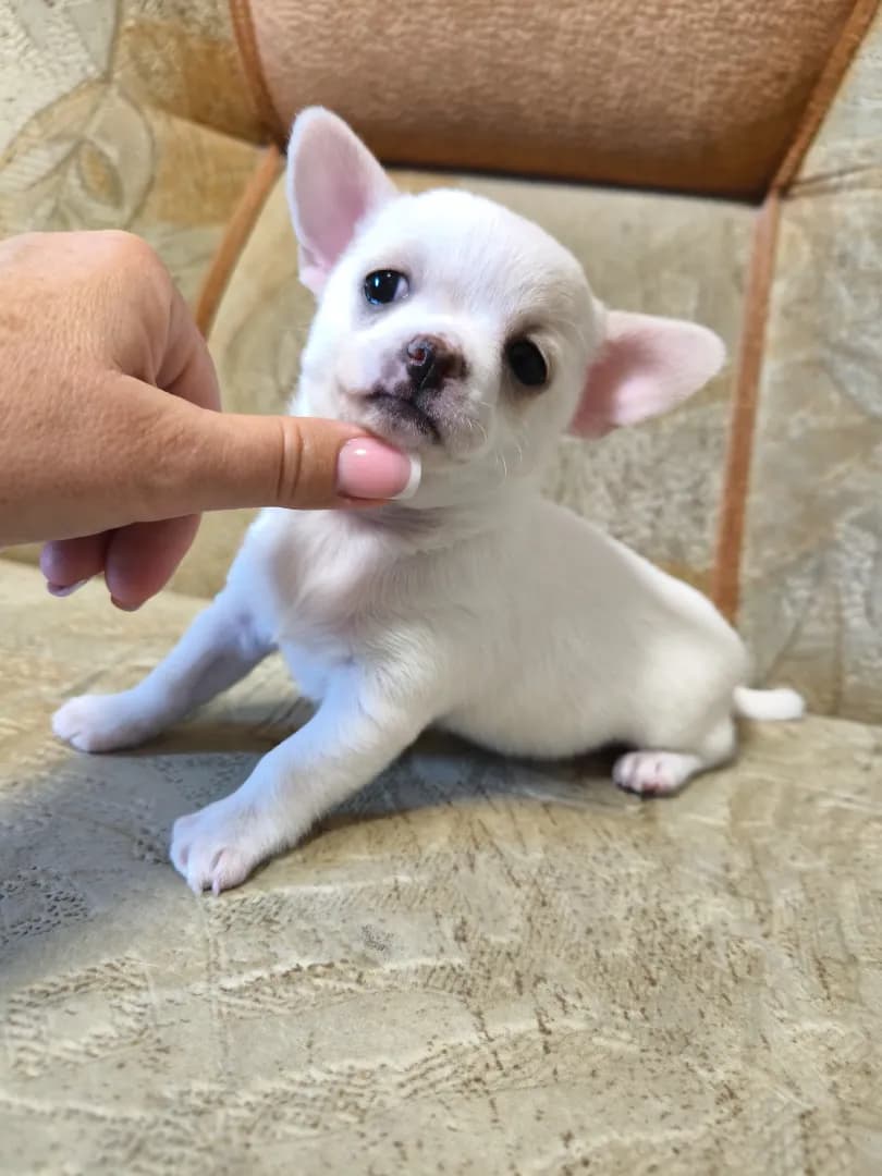 carousel-image-mobile-1