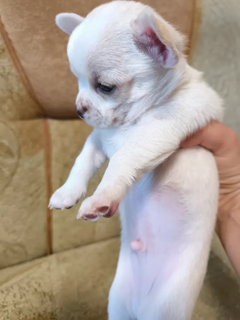 carousel-image-mobile-2