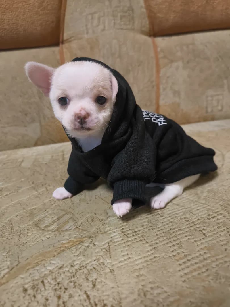 carousel-image-mobile-3