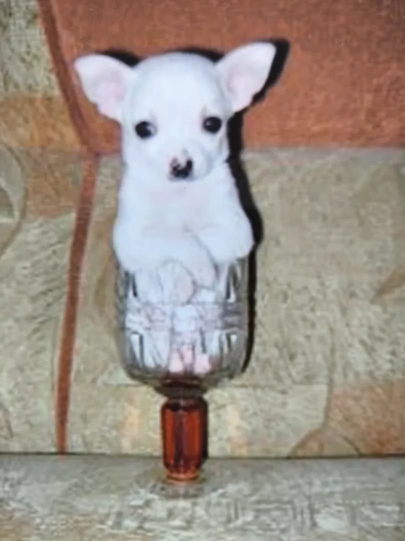 carousel-image-mobile-4