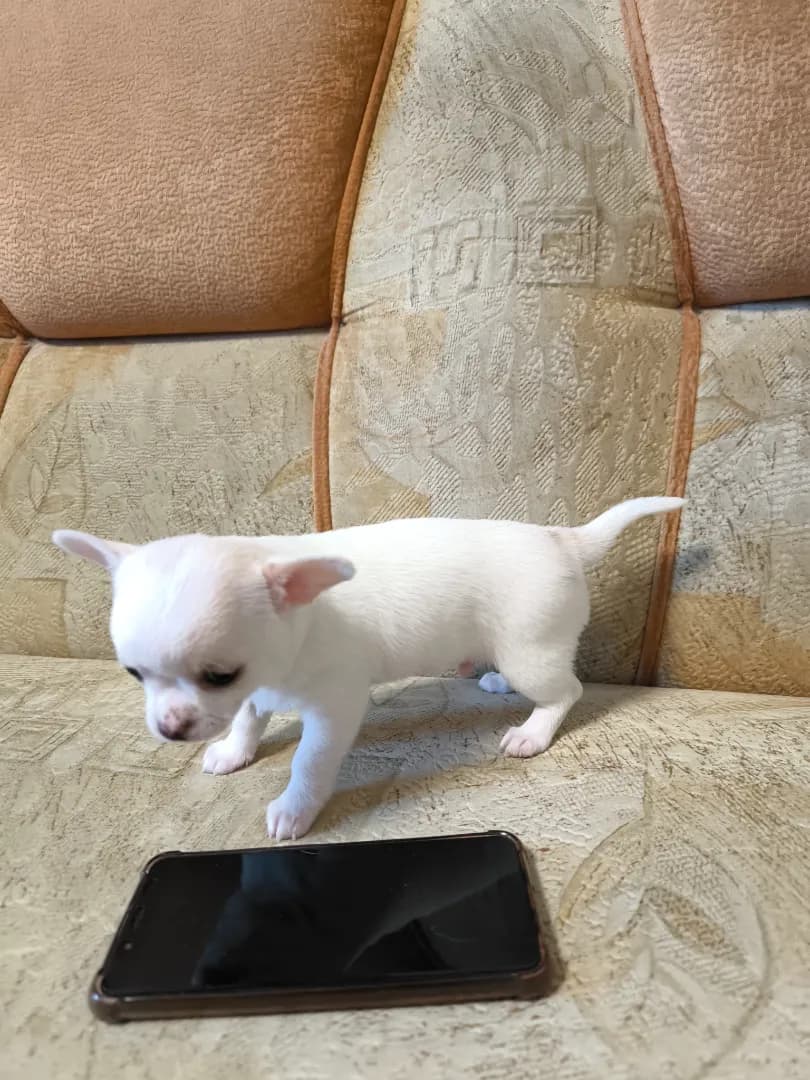 carousel-image-mobile-5