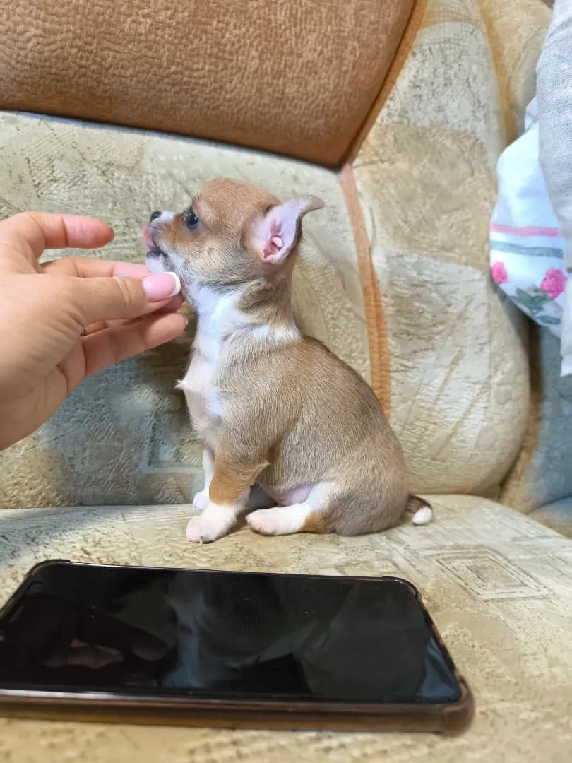 carousel-image-mobile-1