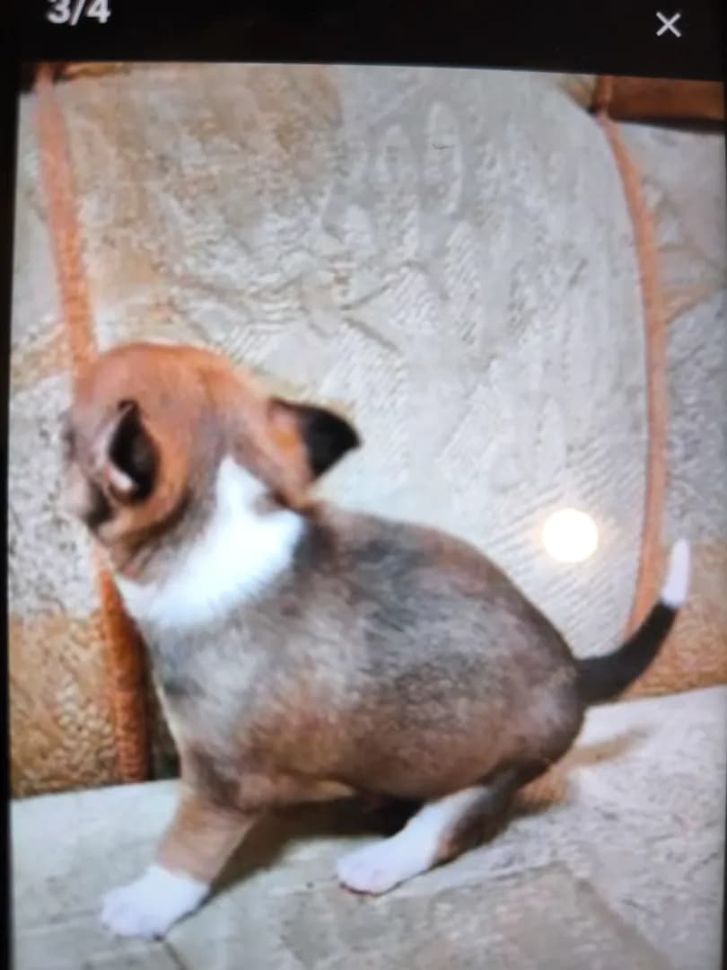 carousel-image-mobile-1