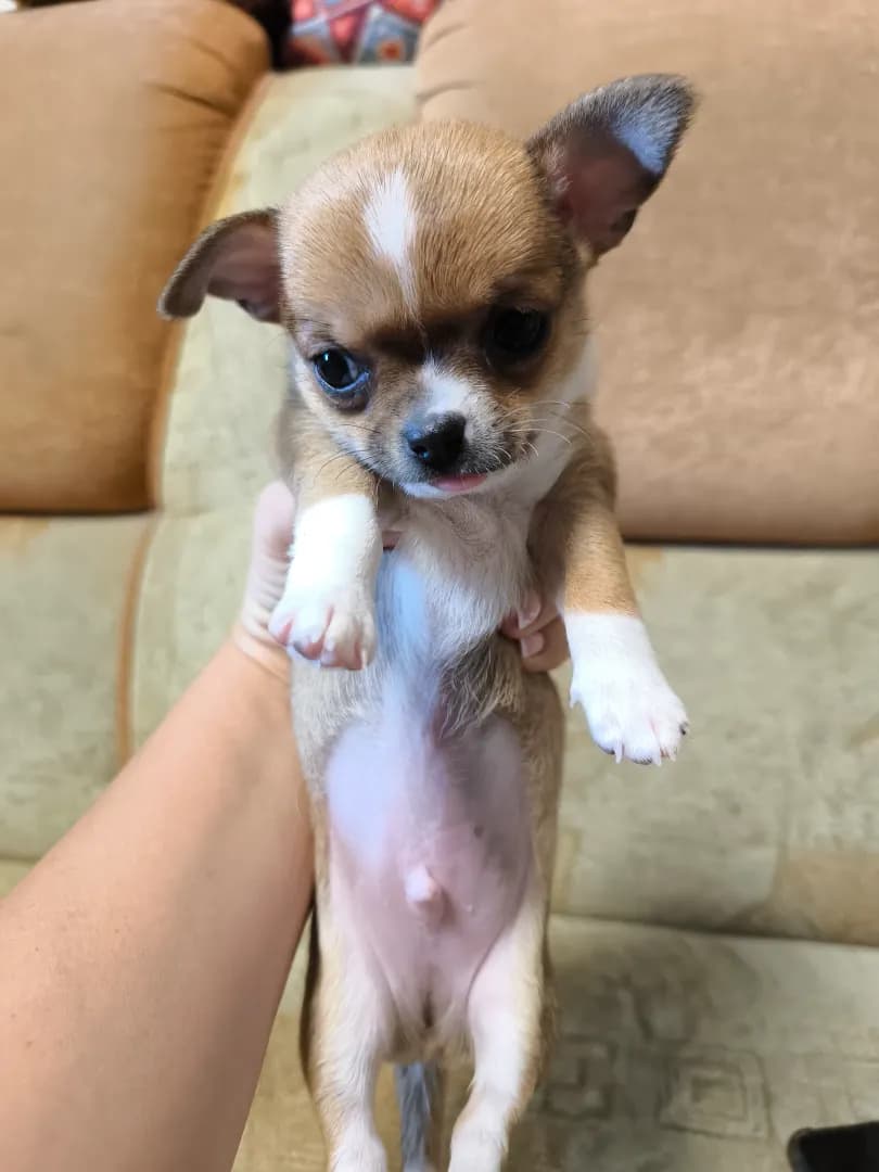 carousel-image-mobile-2