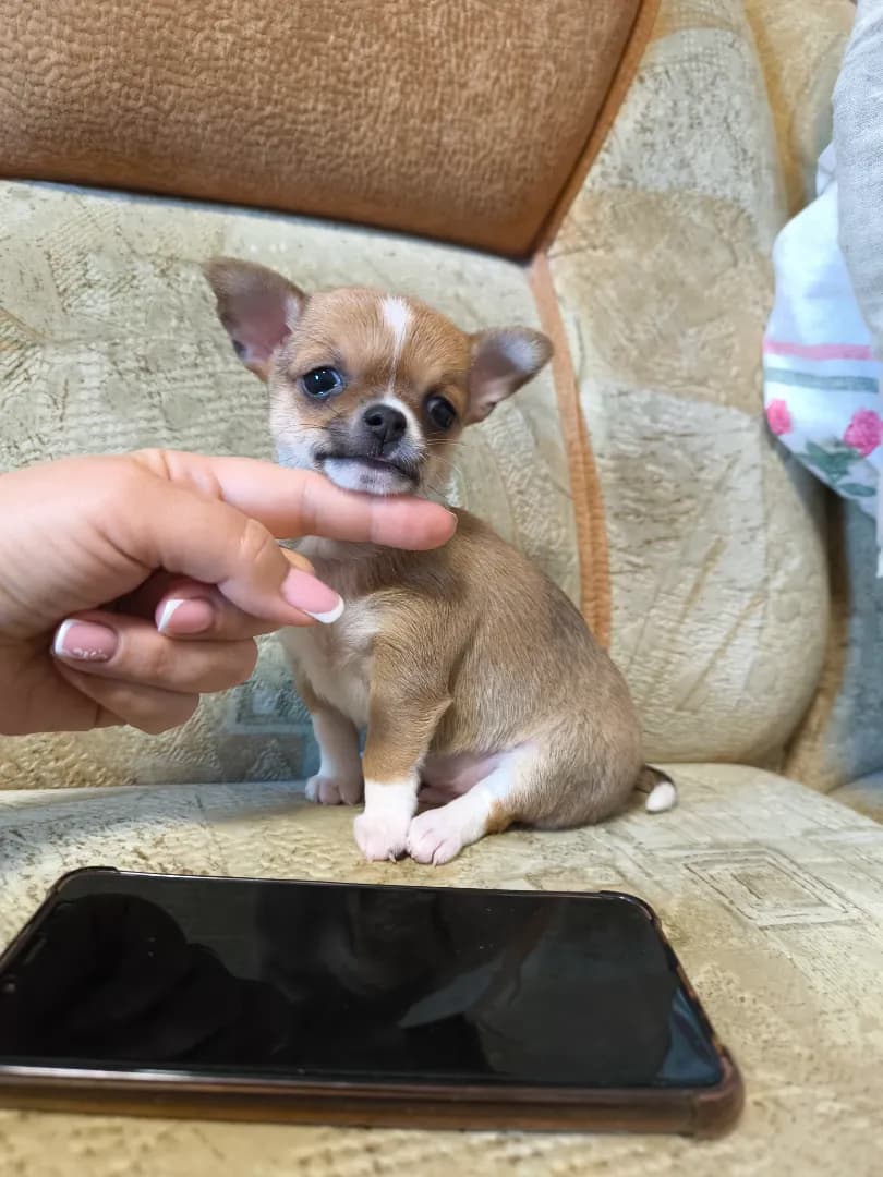 carousel-image-mobile-3