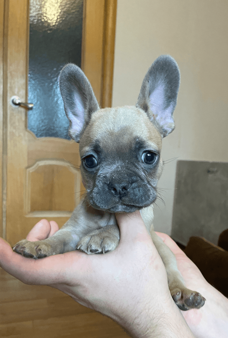 carousel-image-mobile-2