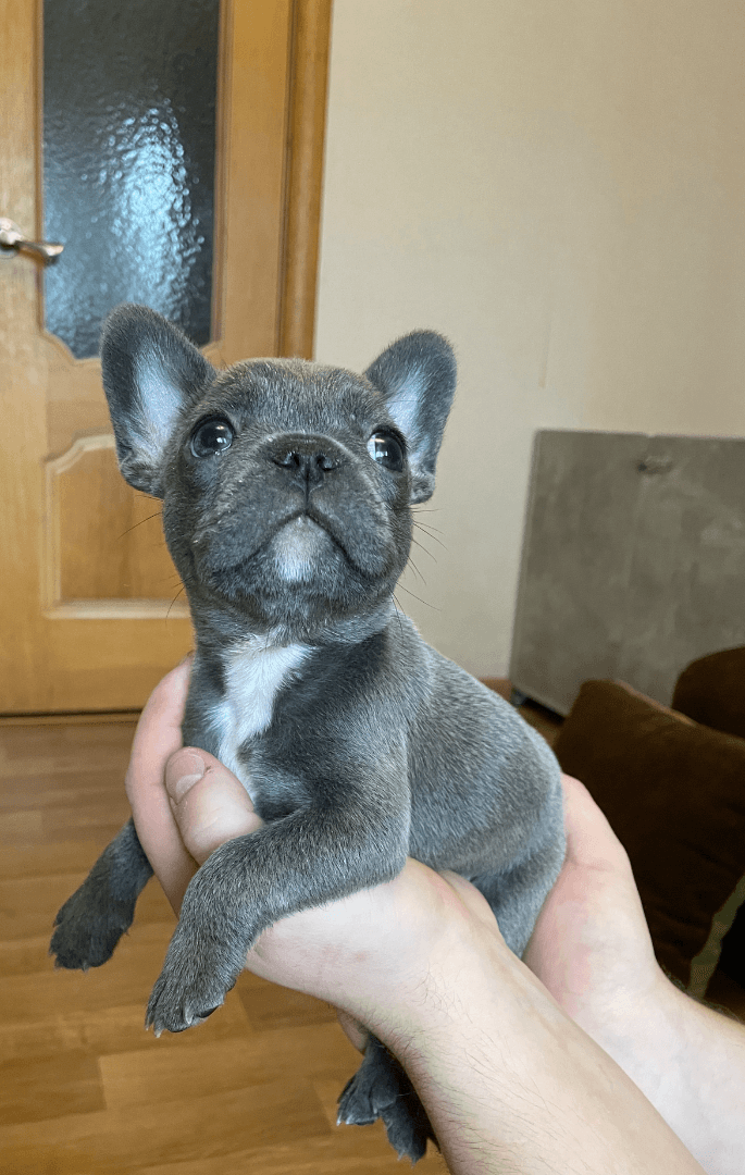 carousel-image-mobile-3