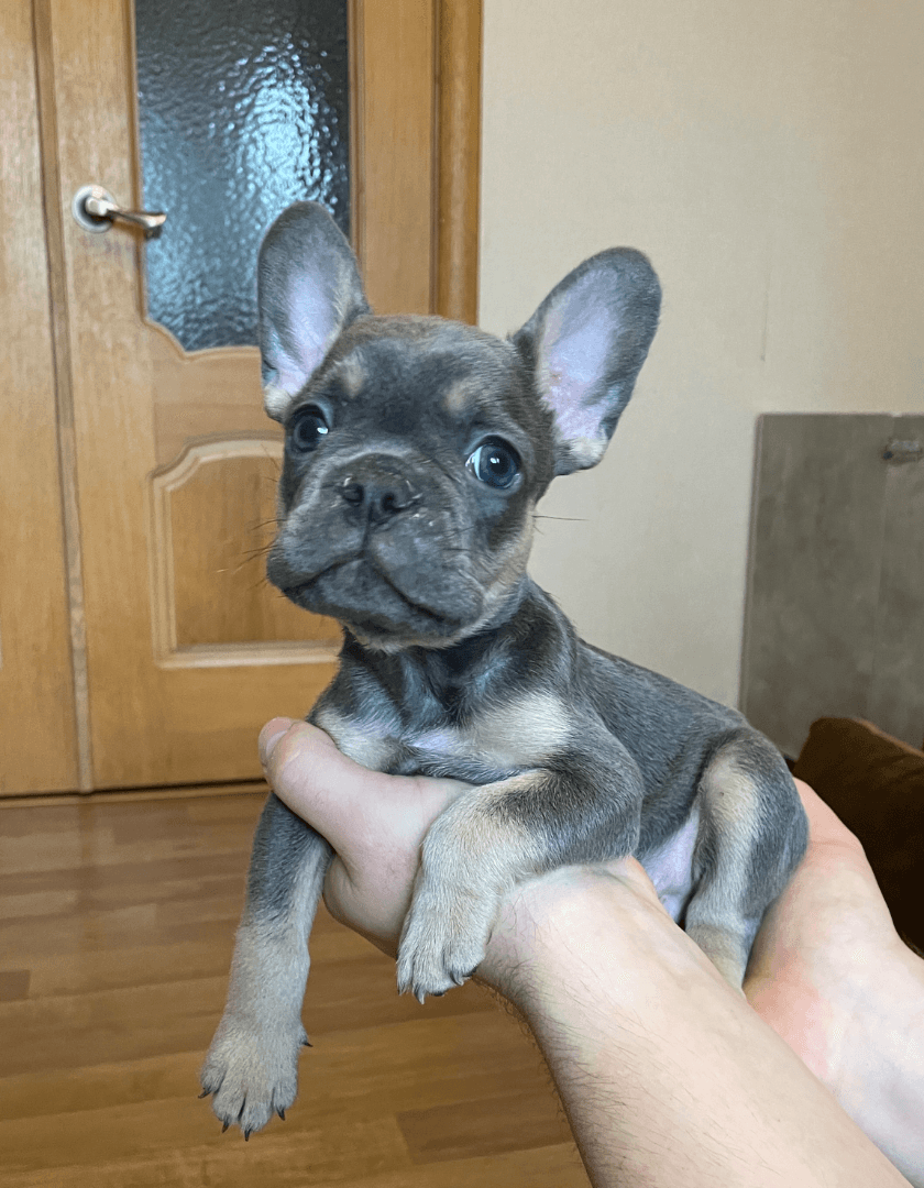 carousel-image-mobile-4