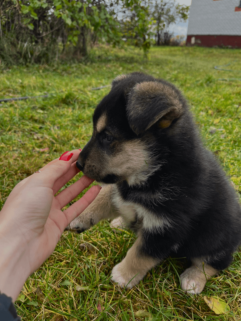 carousel-image-mobile-0