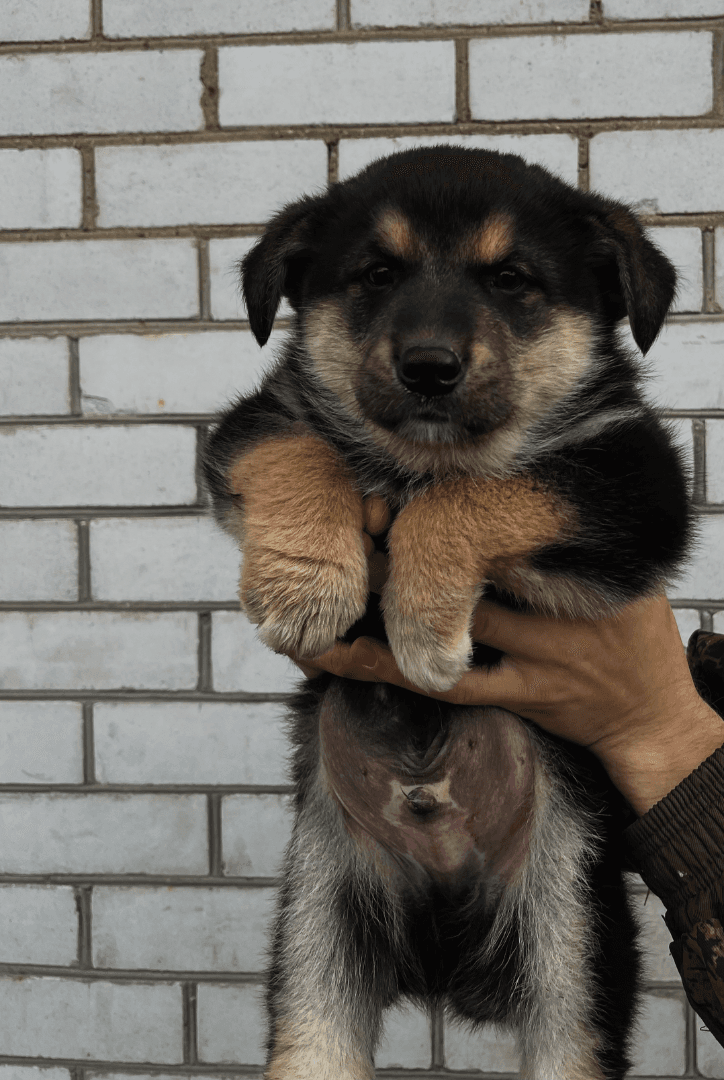 carousel-image-mobile-1