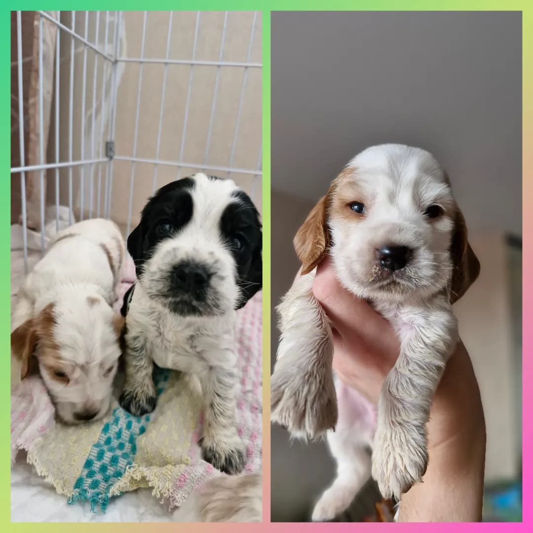 carousel-image-mobile-0